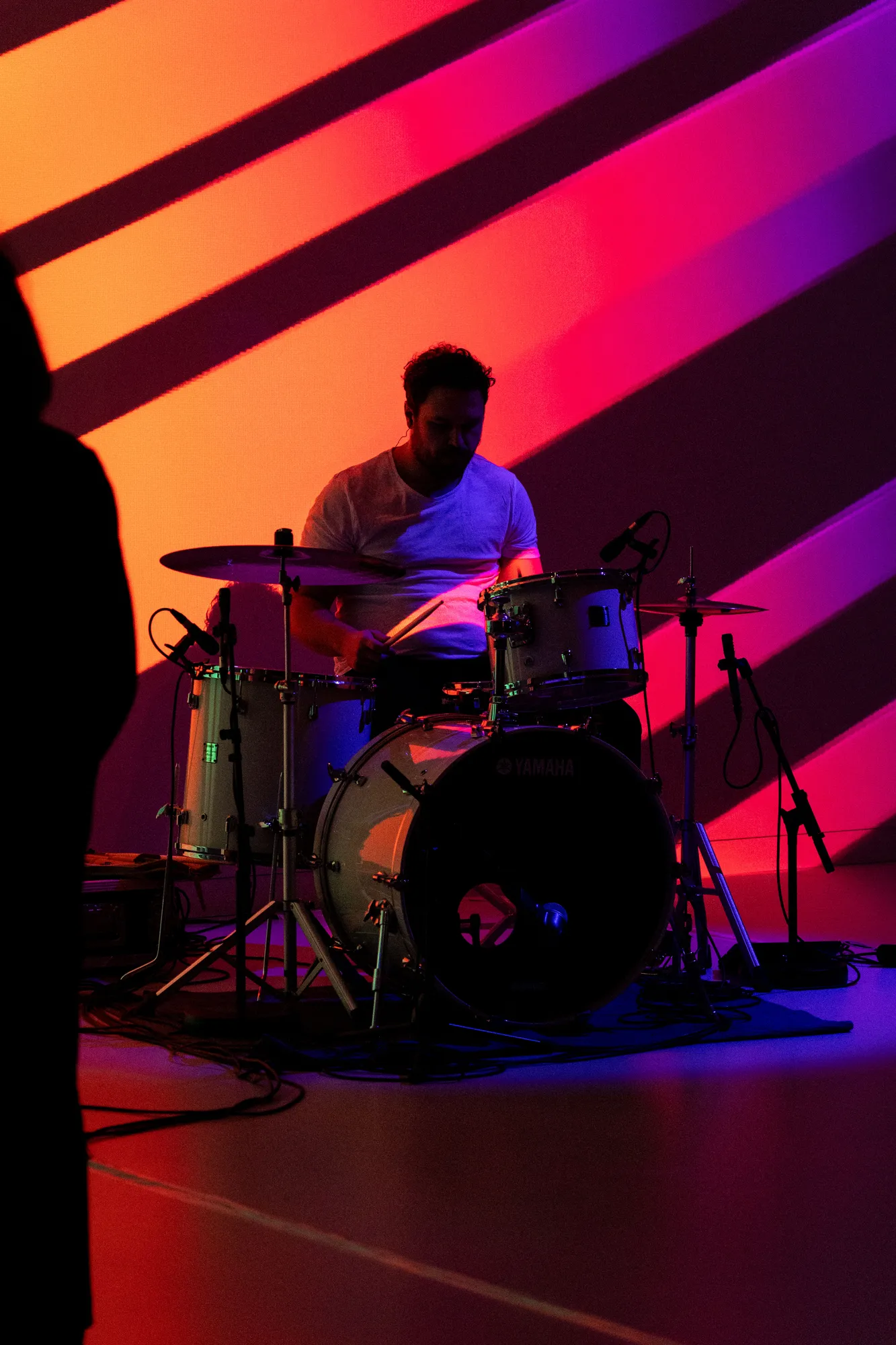 Performance Do Not Feed the Musicians