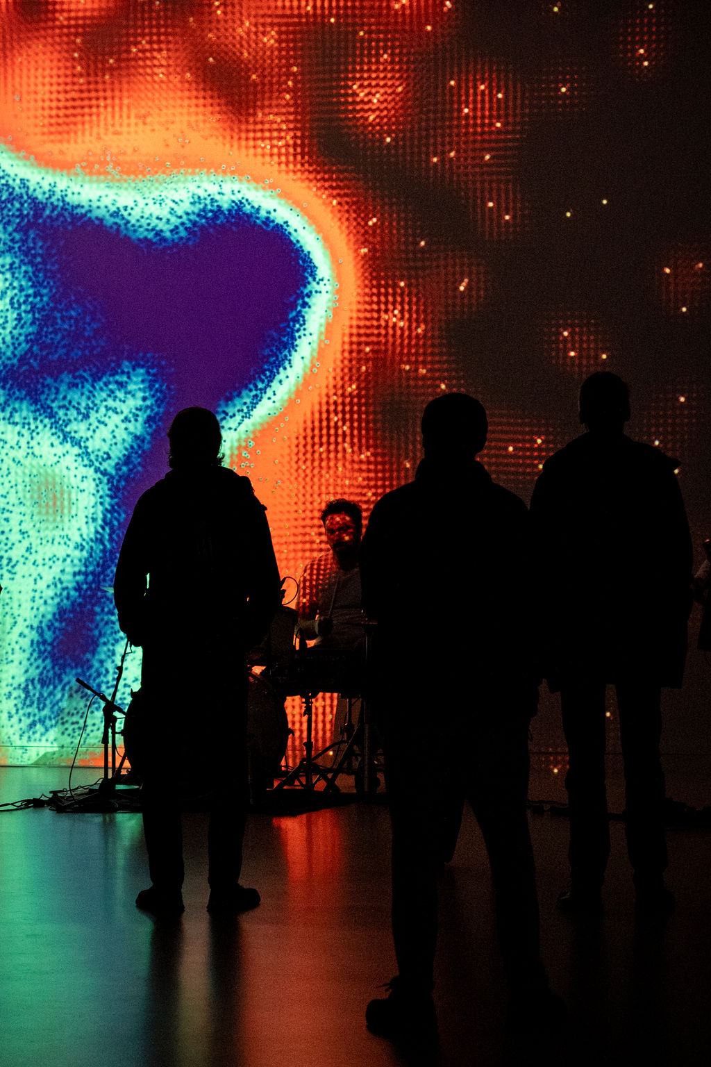 Performance Do Not Feed the Musicians